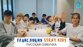Озвучка Dino Kpop Трансляция Stray Kids 21.07.2021  ОТ8 A Nice Day With STAY