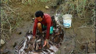 wow Amazing Fishing - Cambodia Traditional fishing - How to Catches Fish Part 136