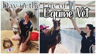 DAY IN THE LIFE OF AN EQUINE VETERINARIAN