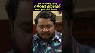 ആ കറി ഞാൻ കൈ കൊണ്ട് തൊടില്ല #aliyans #comedyserial #kaumudy