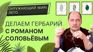 Как сделать гербарий делаем гербарную папку Окружающий мир лето с Романом Борисовичем Соловьёвым.