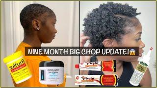 HOW I APPLY DOO GRO FOR MAX GROWTH  9 MONTH BIG CHOP W PICS DOO GRO+WILD GROWTH +HAIR FERTILIZER