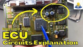 Engine Control Module ECU Circuits Working Explanation