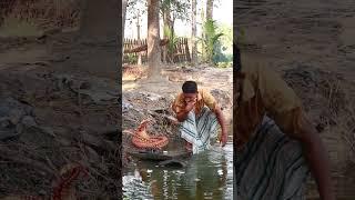 KING COBRA SNAKE PRANK ON PUBLIC Part 53   EMTIAZ BHUYAN#Shorts