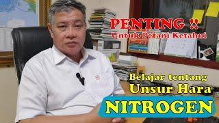 Belajar tentang Unsur Hara Nitrogen