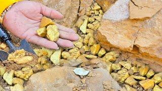 Wonderful  day we expert gold decovery find a lot of treasure gold-digging much gold nuggets