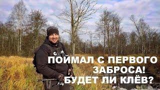 ЩУЧЬЯ ПОРА Будет ли клёв если ловишь с первого заброса? Спиннинг Осенью. РЫБАЛКА НА МАЛОЙ РЕКЕ