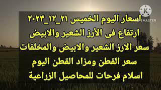 اسعار الارز الشعير اليوم سعر الارز اليوم سعر الارز الابيض سعر اليوم الخميس