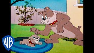 Tom & Jerry  The Best Father & Son Duo Ever  Classic Cartoon Compilation  WB Kids