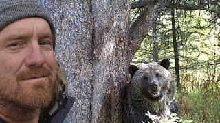 First snow  Active Beaver Dam  Alberta Grizzly