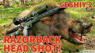 RAZORBACK HOG HUNT - EDGUN LESHIY 2 - HEAD SHOT  - .30 CALIBER - NSA SLUG - AIRGUN HUNTING HOGS