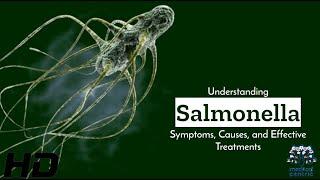 Salmonella Uncovered Symptoms Causes & Cure