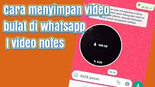 Cara menyimpan video bulat di whatsapp  video notes