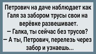 Как Петрович Через Забор к Соседкам Лазил Сборник Свежих Анекдотов Юмор