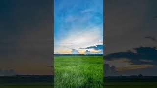 Relaxing Music for Stress Relief - Relaxing Music Calming Music Peaceful Music Meditation Music