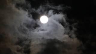 Moon Night Darkness Night Sky Full Moon Sky No Copyright Video