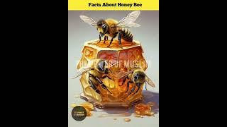 Facts About Honey Bee  #shorts #shortvideo #shortsfeed #honeybee