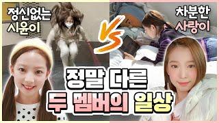 헉 너무 다른 일상을 보내는 사랑이와 시윤이 아니 이렇게나 다르다고? 달라도 너무 다른 일상 여러분들도 같이 확인해보세요｜클레버TV