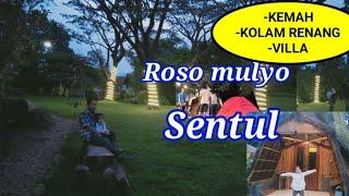 Review Roso Mulyo Sentul wisata terlengkap murah bogor#villasentul#glamping#camping#kemah part 2