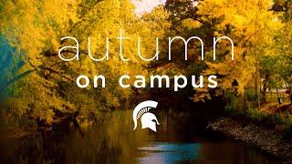 60 Seconds of Spartan Autumn  Michigan State University