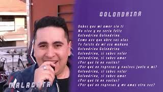 MALAGATA - Golondrina  video LYRIC