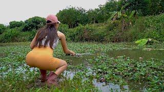 Fishing Girl  Catching Big Catfish with Hook