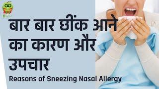 बार बार छींक आने का कारण और उपचार Reasons of Sneezing Nasal Allergy and solutions  Hindi Healthyho