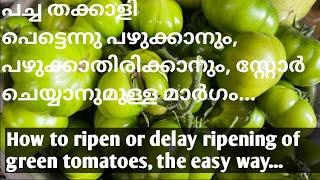 How to ripendelay ripening of green tomatoesപച്ച തക്കാളി പഴുക്കാനും പഴുക്കാതിരിക്കാനുമുള്ള മാർഗം.