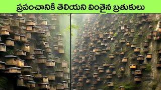 most terrible building and house designs  facts in telugu  telugu  telugu news  top 10 facts