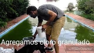 Como recuperar el agua de piscina alberca 1