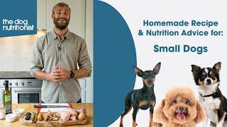 Small dogs - Homemade Dog Food Recipes Complete & Balanced - The Dog Nutritionist