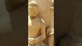 #merizindagani ka Sanchi Stupa Vlog #Shorts near Vidisha Bhopal  MeriZindagani.com