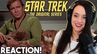 The Trouble with Tribbles  Star Trek The Original Series Reaction  Season 2