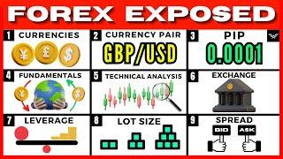 Forex Trading For Beginners FREE FULL COURSE