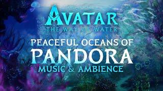 Avatar The Way of Water  Oceans of Pandora Music & Ambience in 4K w @ASMRWeekly&@WilliamMaytook