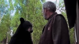 Man slaps a black bear unedited full clip