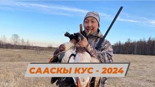 СААСКЫ КУС - 2024  ВЕСЕННЯЯ ОХОТА НА УТОК И ГУСЕЙ - 2024