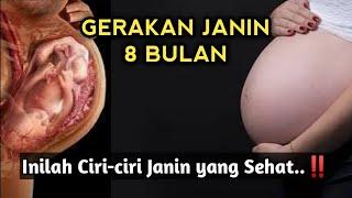 GERAKAN JANIN USIA 8 BULAN – Seperti Apa Ciri-ciri Janin yang Sehat?