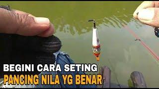 CARA SETTING PANCING NILA YG BENARagar selalu dapat banyak.