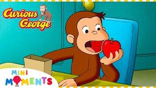 Curious George  George Helps Out  1 Hour  Mini Moments