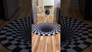 Dogs funny reaction to entering optical illusion rug #shorts