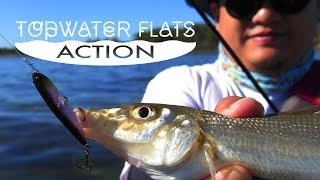 TOPWATER FLATS ACTION - ULTRA LIGHT POPPING