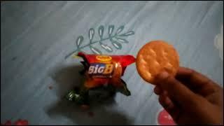 Raja Big B biscuit Review