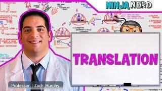 Cell Biology  Translation Protein Synthesis 