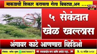 5 सेकंदात केला माकडाचा खेळ खल्लास...अंगावर काटे आणणारा व्हिडिओ  Viral Video  । HPN NEWS