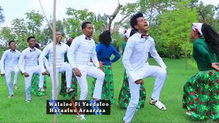 Hacaaluu Araarsaa Jarumaafi  ** Oromo Music 2018 New