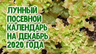 Лунный посевной календарь на декабрь 2020 года. Агрогороскоп агропрогноз агроастрология