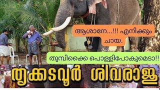 ചായ ചോദിക്കുന്നതുകണ്ടോ..? ശിവരാജുവും ഗോപാലകൃഷ്ണന്‍ മാമനും.Trikkadavoor SivarajuNew Video.