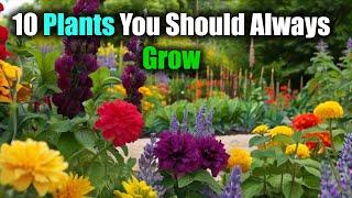 10 Plants You Should Always Grow  10 Essential Plants for Your Garden