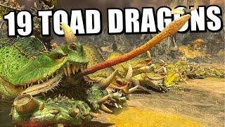 19 Toad Dragons